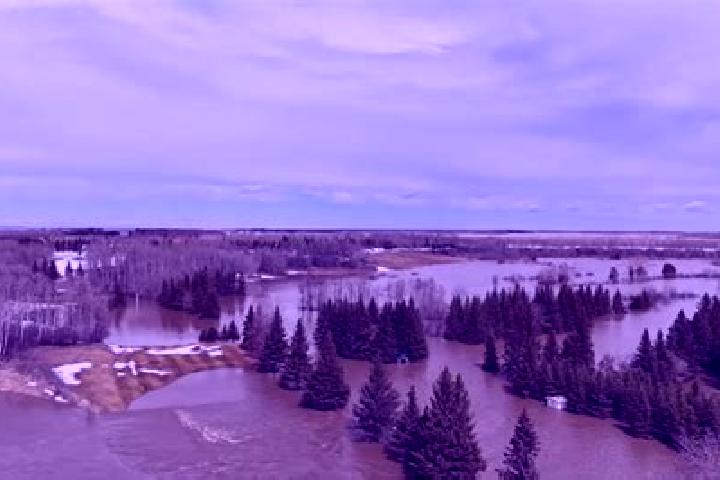 Willow, 20 — Escort in Carrot River, Canada