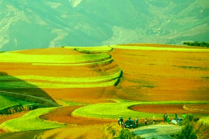 Willow, 20 — Escort in Dongchuan, China