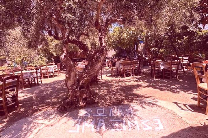Willow, 20 — Escort in Ferma, Greece