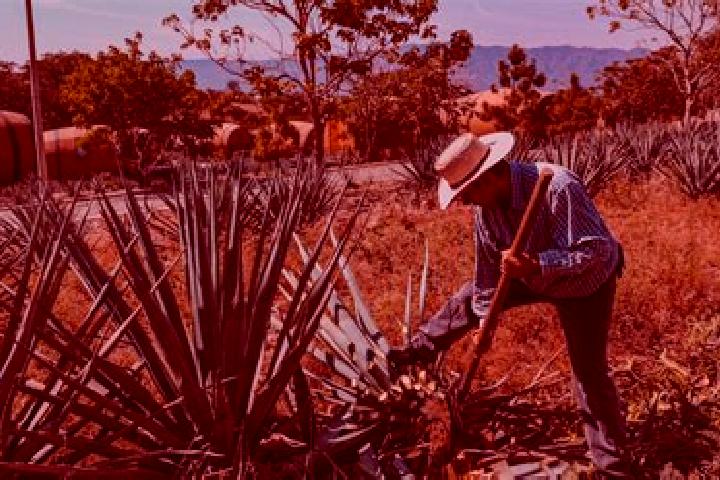 Willow, 20 — Escort in San Juan Bautista Jayacatlan, Mexico