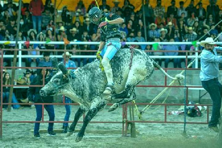 Willow, 20 — Escort in San Juan Jaripeo, Mexico
