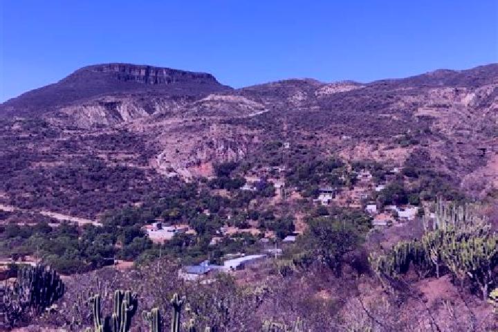 Willow, 20 — Escort in Tatoxcac, Mexico