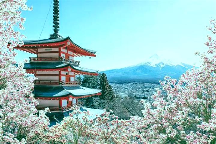 Willow, 20 — Escort in Tonami, Japan