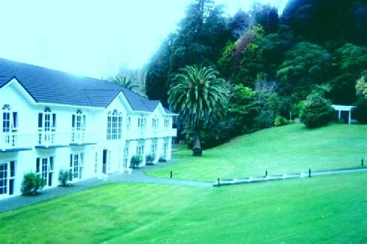 Willow, 20 — Escort in Wallaceville, New Zealand