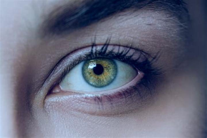 Willow, 21, a auburn hazel-eyed mixed companion based in Avane. Offering Tantra, Striptease, GFE. Available for incall and outcall, overnight bookings availa...