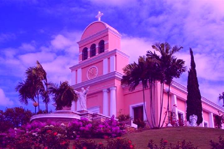 Willow, 21 — Escort in Aguas Buenas, Puerto Rico