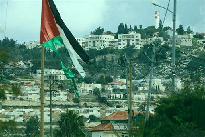 Willow, 21 — Escort in Ash Shuyukh, Palestine