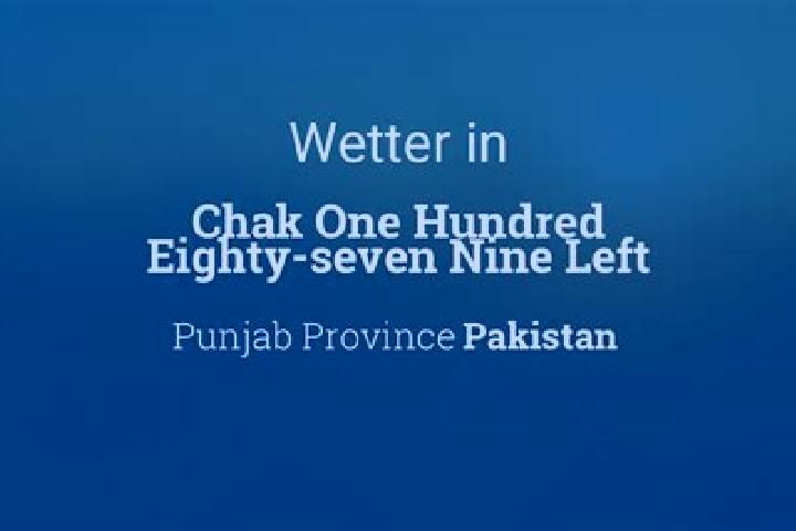 Willow, 21 — Escort in Chak One Hundred Eighty-seven Nine Left, Pakistan