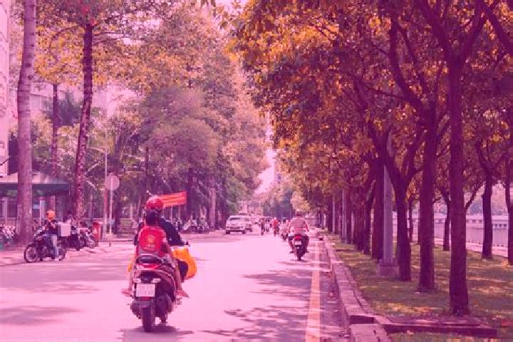 Willow, 21 — Escort in Chu Se, Vietnam
