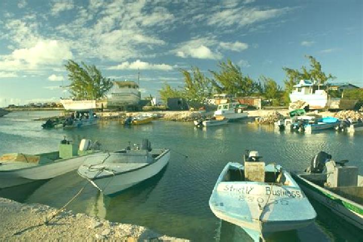 Willow, 21 — Escort in Cockburn Harbour, Turks and Caicos Islands