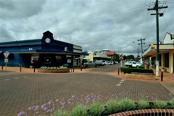 Willow, 21 — Escort in Corrigin, Australia