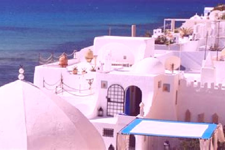 Willow, 21 — Escort in Degache, Tunisia