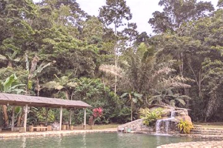 Willow, 21 — Escort in Echeandia, Ecuador