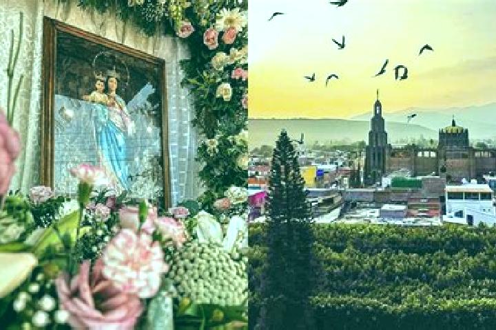 Willow, 21 — Escort in Empalme Escobedo, Mexico