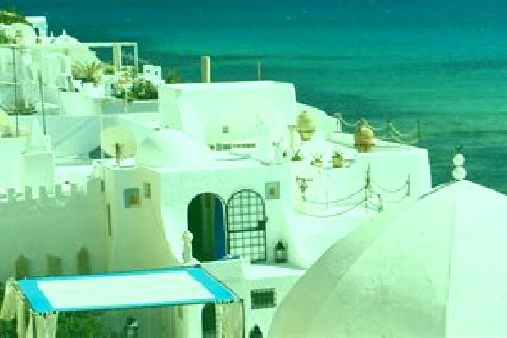 Willow, 21 — Escort in Gafour, Tunisia