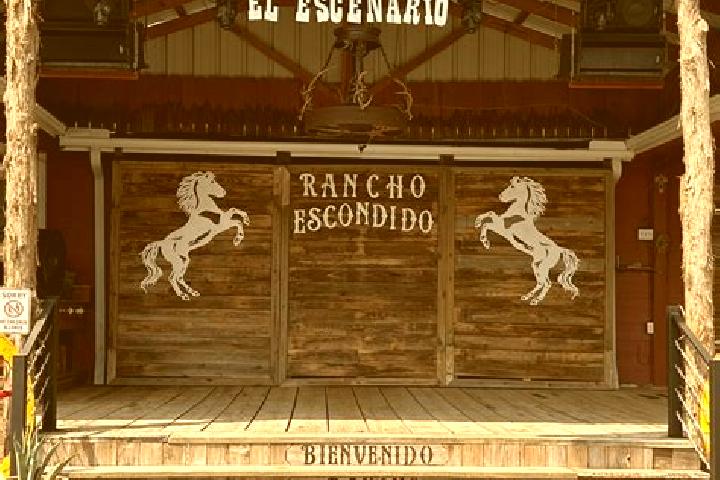 Willow, 21 — Escort in Rancho Grande, Mexico