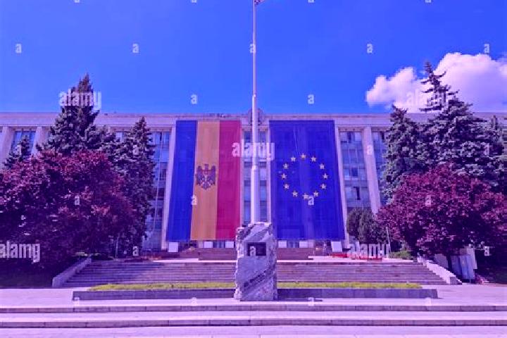 Willow, 21 — Escort in Tarigrad, Moldova
