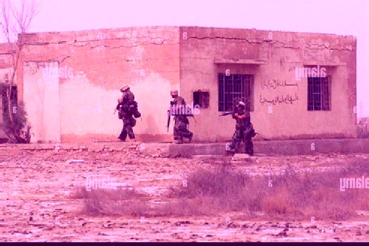 Willow, 22 — Escort in Al Amarah, Iraq