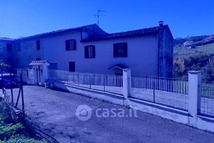 Willow, 22 — Escort in Case Cibba-Sciascia-Crocifisso-Tondarella-Virano, Italy