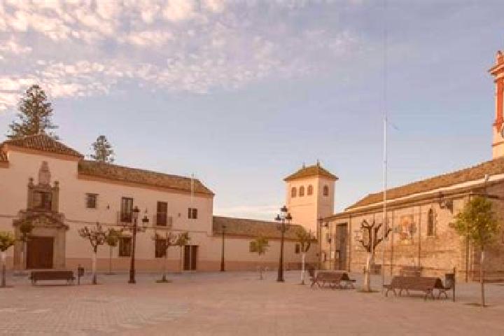 Willow, 22 — Escort in Castilleja de Guzman, Spain