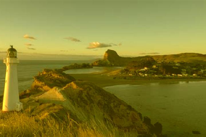 Willow, 22 — Escort in Castlepoint, New Zealand
