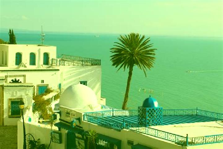 Willow, 22 — Escort in Jedeida, Tunisia