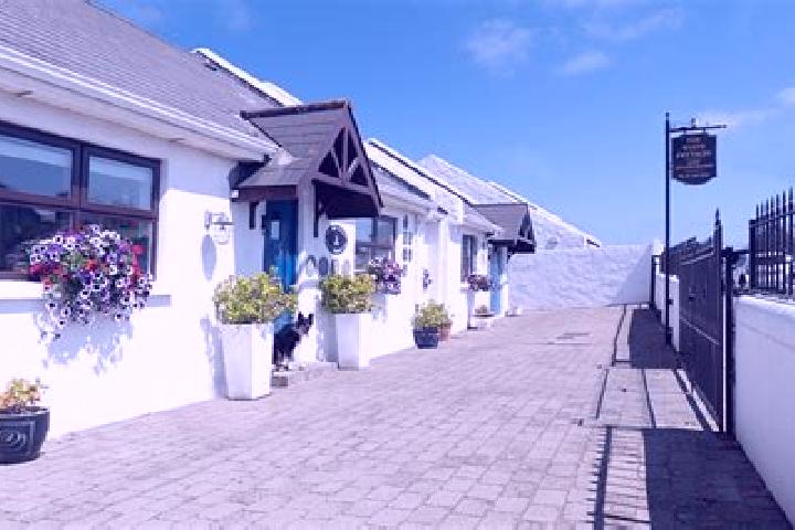 Willow, 22 — Escort in Kilpedder, Ireland