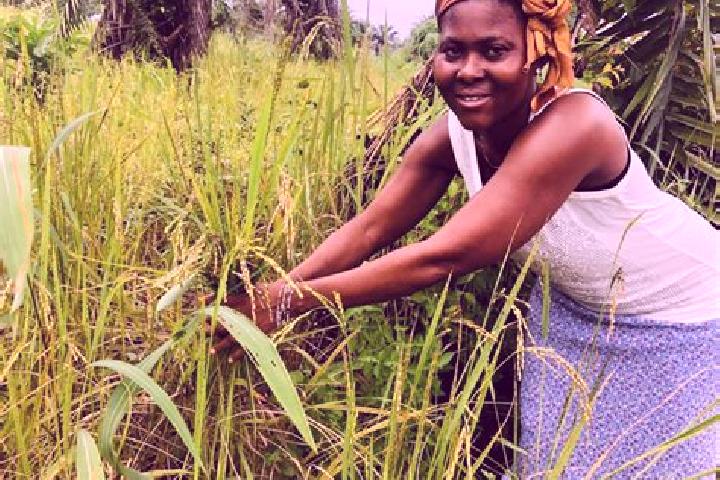 Willow, 22 — Escort in Lunsar, Sierra Leone