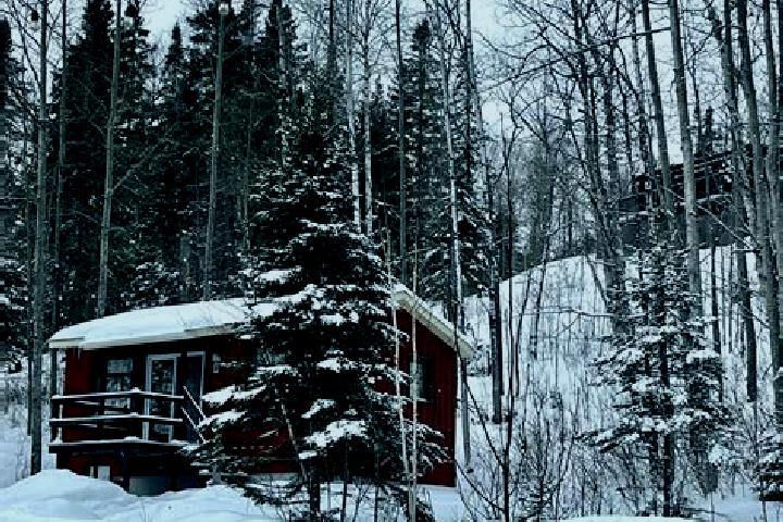 Willow, 22 — Escort in Maisonnette, Canada