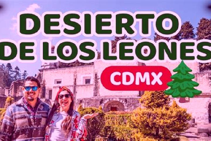 Willow, 22 — Escort in Mesa de los Leones, Mexico