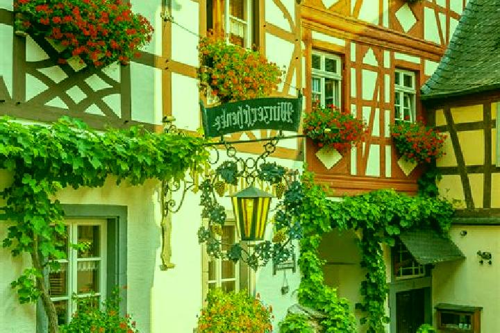 Willow, 22 — Escort in Mittelfischbach, Germany