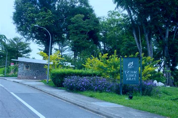 Willow, 22 — Escort in Mount Emily Park, Singapore