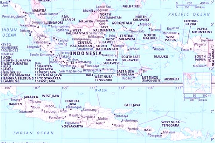 Willow, 22 — Escort in Recobanteng, Indonesia