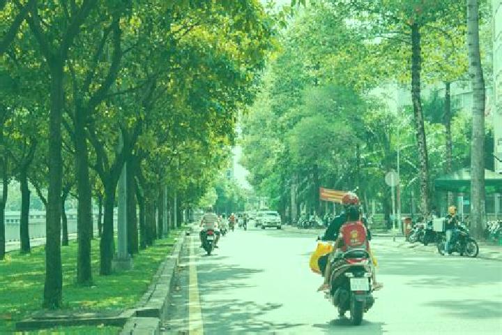 Willow, 22 — Escort in Tu Son, Vietnam