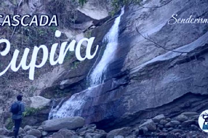 Willow, 23 — Escort in Cupira, Venezuela
