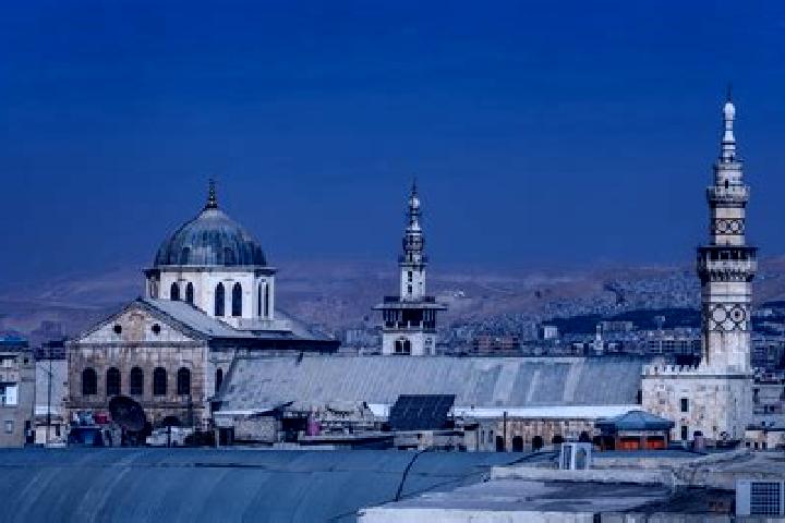 Willow, 23 — Escort in El Mazra a, Israel