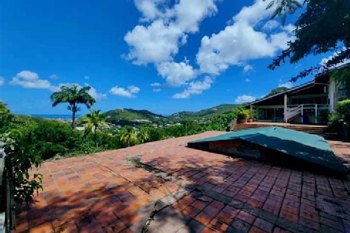Willow, 23 — Escort in Gros Islet, Saint Lucia