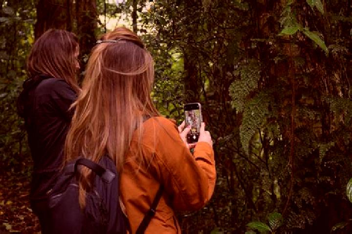 Willow, 23 — Escort in Guadalupe Monteverde, Mexico