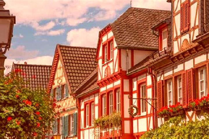 Willow, 23 — Escort in Lauffen am Neckar, Germany