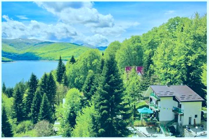 Willow, 23 — Escort in Mavrovi Anovi, North Macedonia