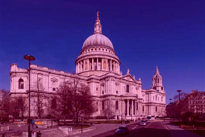 Willow, 23 — Escort in Saint Pauls, United States