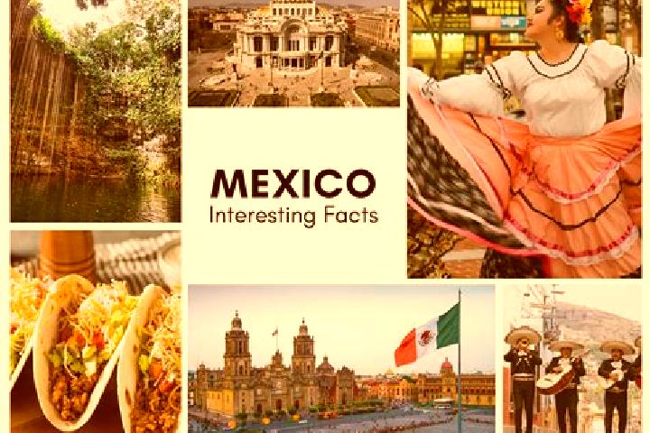 Willow, 23 — Escort in Teozintla, Mexico