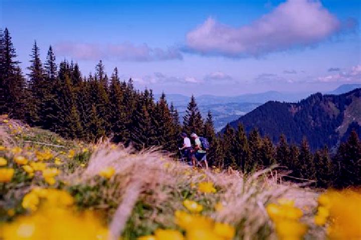 Willow, 23 — Escort in Tillmitsch Links der Lassnitz, Austria