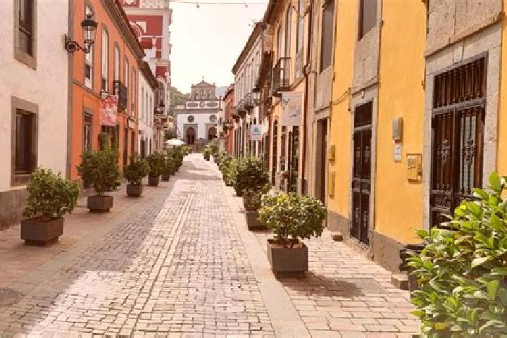 Willow, 23 — Escort in Vega de San Mateo, Spain