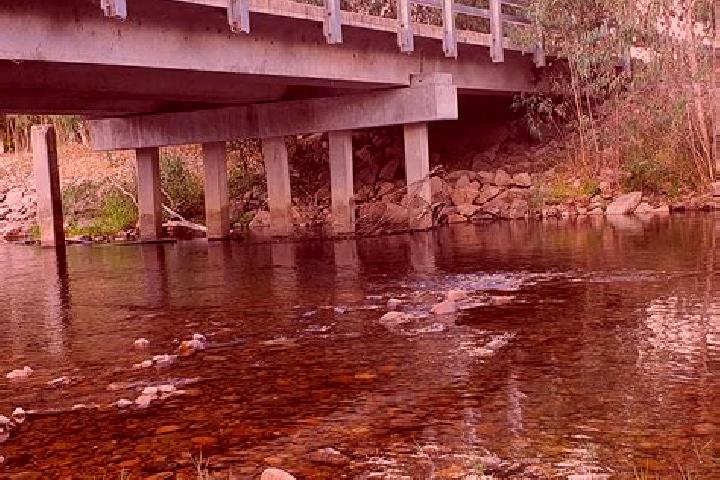 Willow, 23 — Escort in Whitfield, Australia