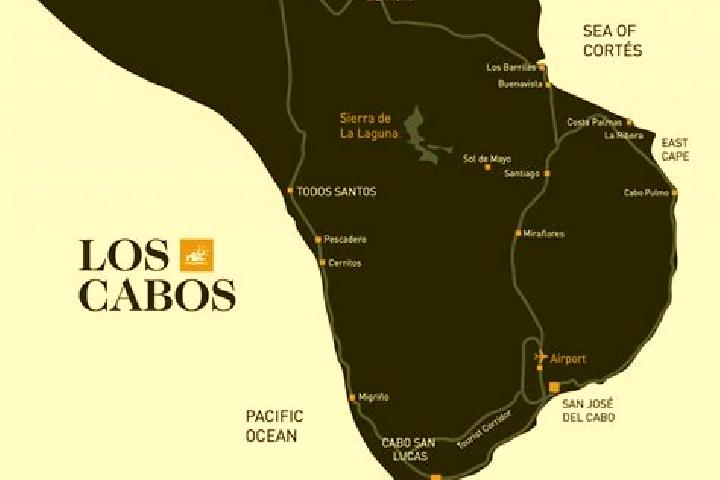 Willow, 24 — Escort in Antonio Amaro, Mexico