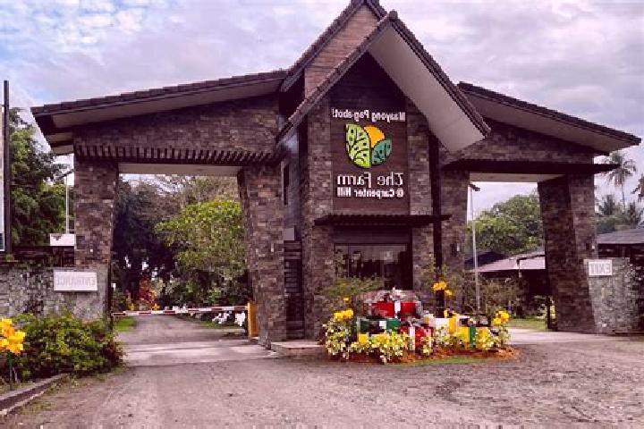 Willow, 24 — Escort in Carpenter Hill, Philippines