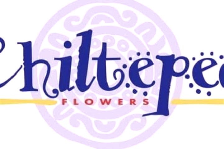 Willow, 24 — Escort in Chiltepec de Hidalgo, Mexico