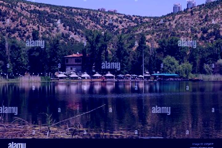 Willow, 24 — Escort in Eymir, Turkey