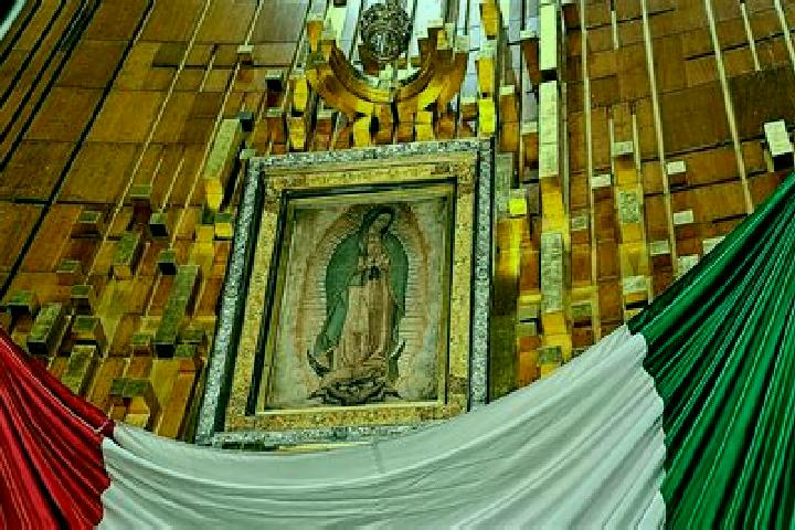 Willow, 24 — Escort in Guadalupe del Rio, Mexico